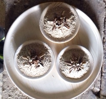 Brahim o’Meqqran - Plats et couscous entièrement en bois