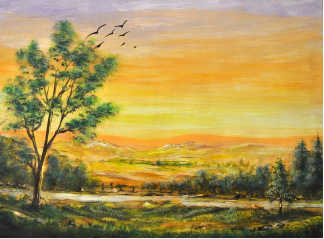 Fafa Habi - Un soleil couchant