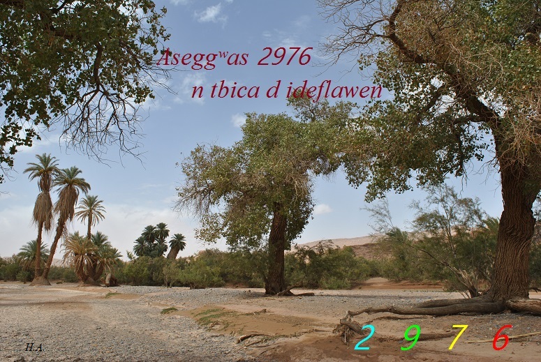 Assekkas ambarach 2976 - Arbres