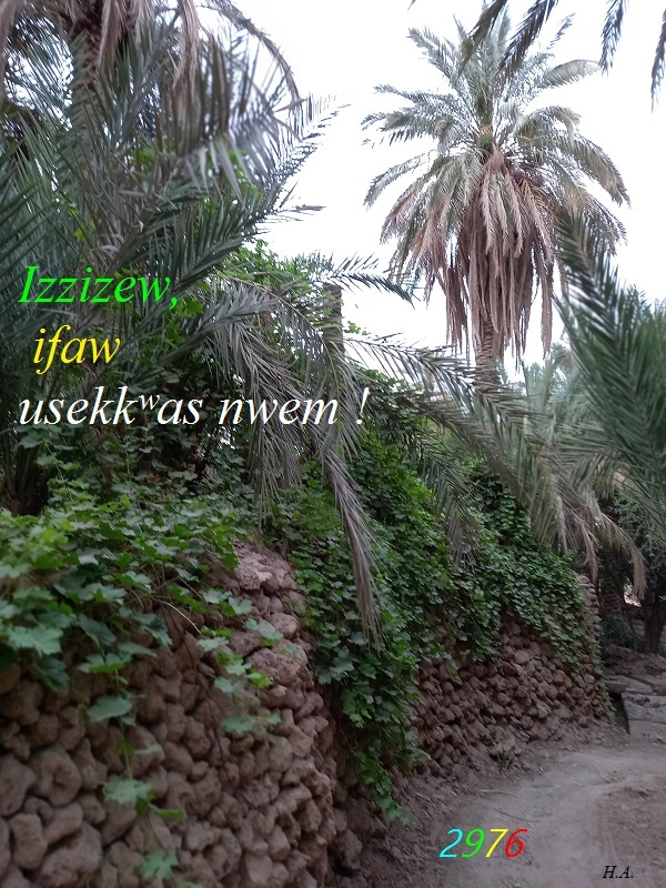 Assekkas ambarach 2976 - Jardins