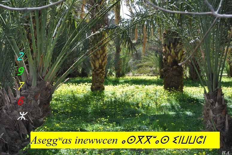 Assekkas ambarach 2976 - Jardins 2