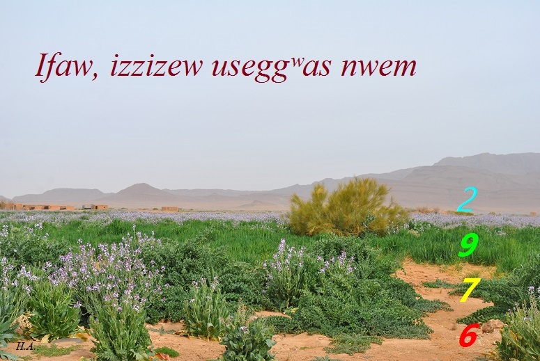 Assekkas ambarach 2976 - Verdure