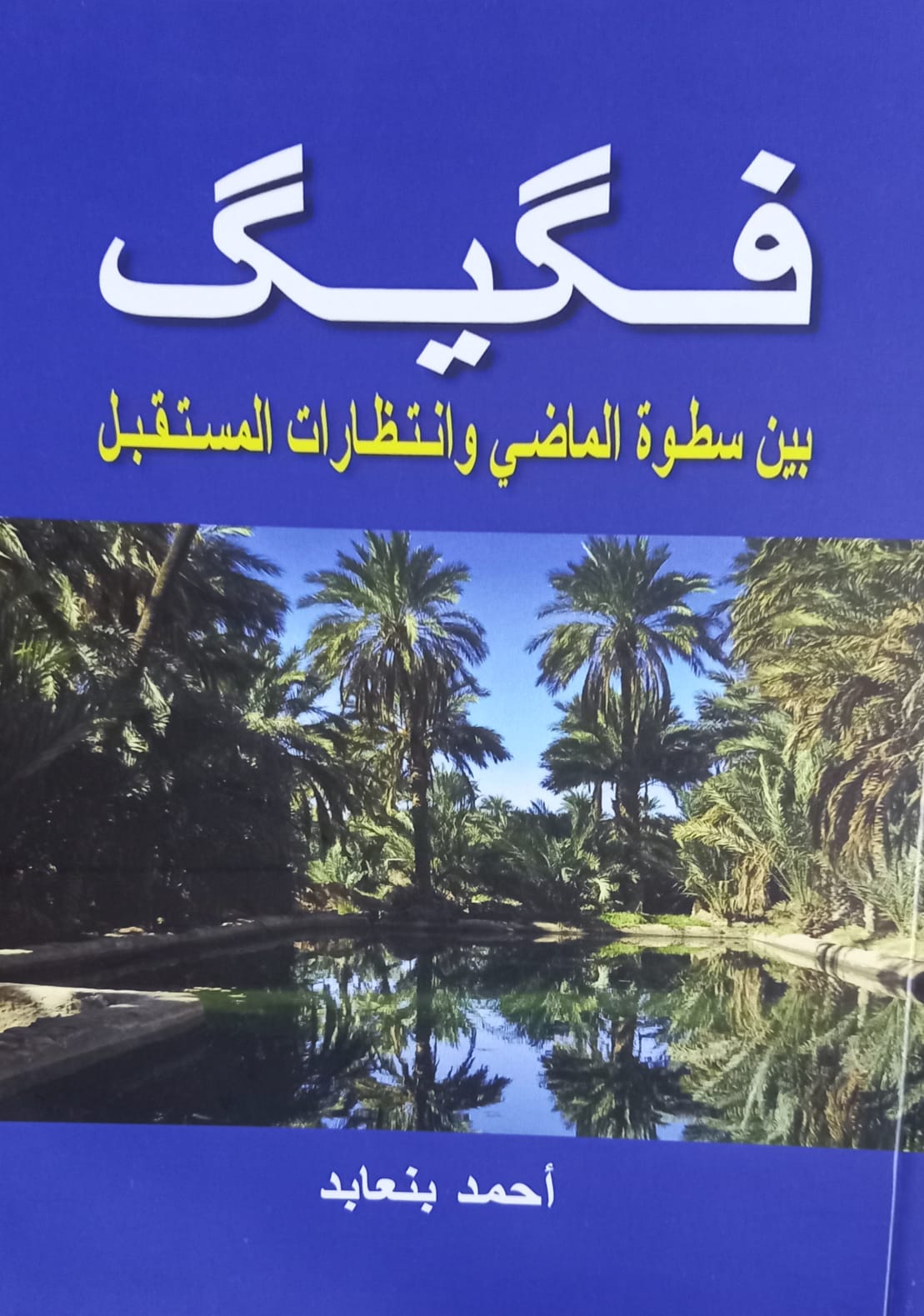 Figuig, entre l’influence du passé et les attentes du futu - فيݣيݣ بين سطوة الماضي وانتظارات المستقبل 